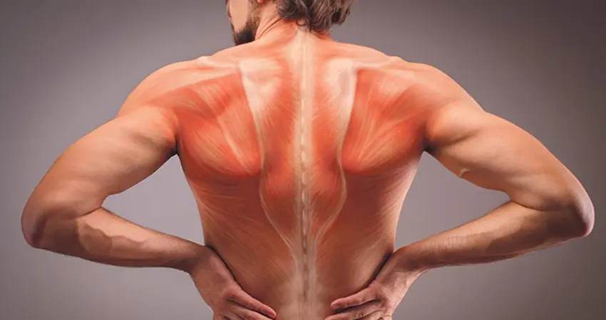 dolori muscolari diffusi in tutto il corpo cause